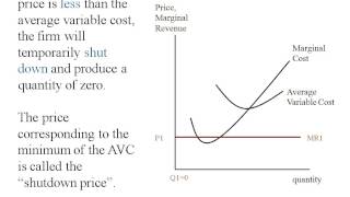 Econ - Perfect Competition - Short Run Supply Curve