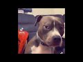 TikTok TakeABite