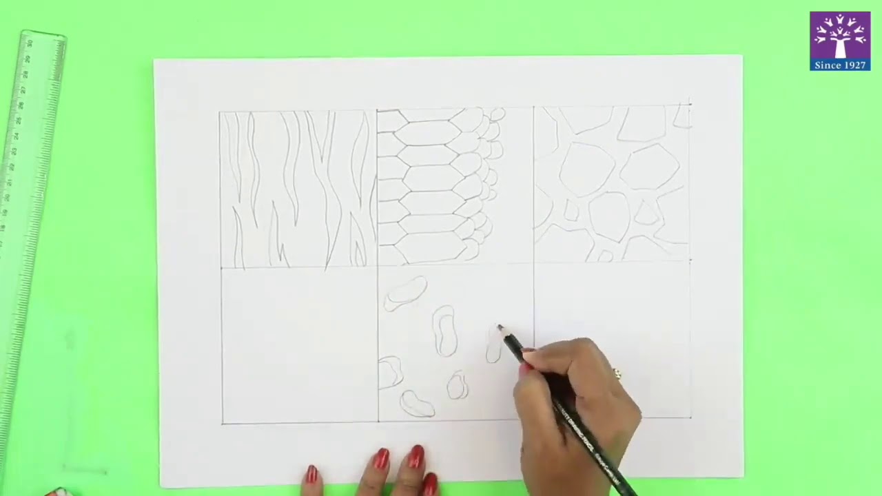 Activity 1 - Animal Patterns