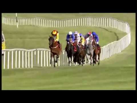Watch Trading Leather (Teofilo) win the G1 Irish Derby at the Curragh, Ireland, 2013