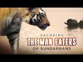 The Man Eaters Of Sundarbans Nature Documentary Hindi Wildlife Documentary In Hindi