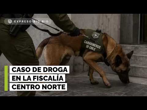 🔴EXCLUSIVO: Desvinculan a abogado por caso de cocaína en Fiscalía Centro Norte