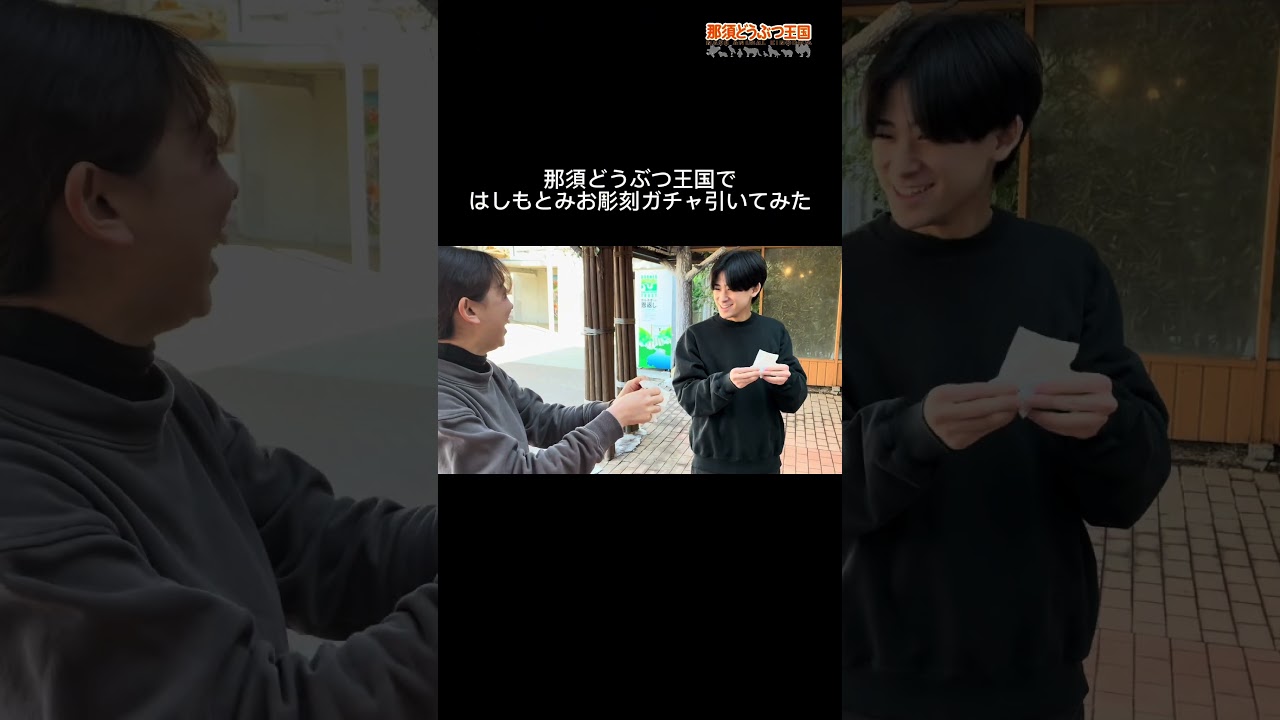 那須どうぶつ王国ではしもとみお彫刻ガチャ引いてみた　＃那須どうぶつ王国 #はしもとみお #shorts