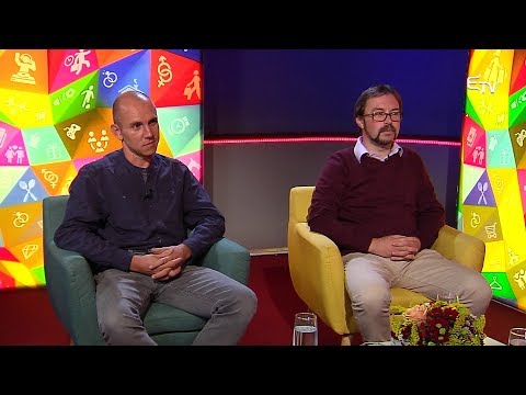 Zebra: a hazai oktatási rendszer – 2019. november 4.