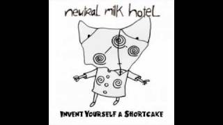 Neutral Milk Hotel - My Dream Girl Don&#39;t Exist