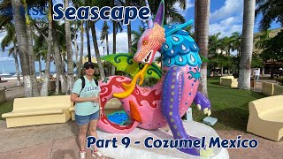 Exploring Cozumel Mexico
