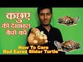How to care turtle  कछुए को कैसे रखें - Turtle care guide