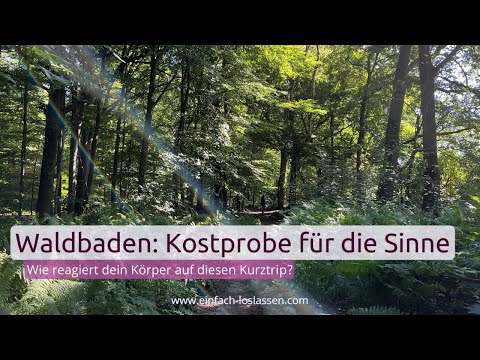 Waldbaden - eine kleine Kostprobe