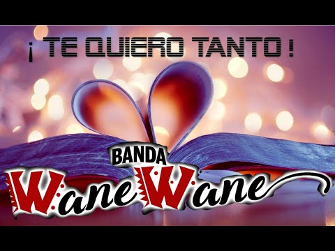Te Quiero Tanto / Banda Wane Wane 2024 / en La 13 de Marzo