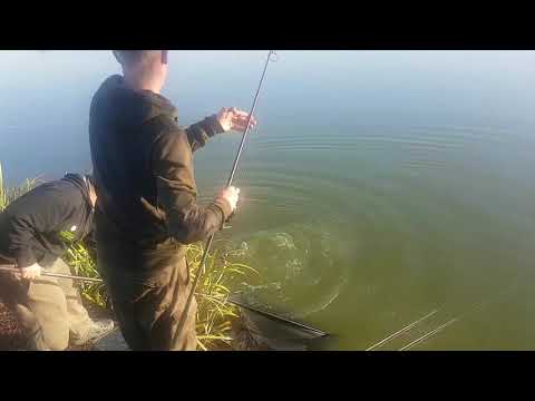 Alan Blair visits the chase back lake