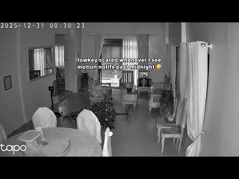 our cat’s NYE surprise 