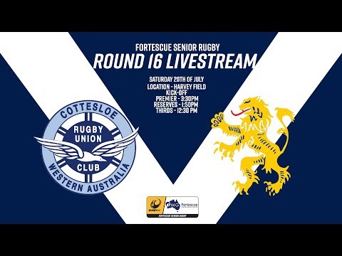 Fortescue Premier Grade 2019 Round 16 - Cottesloe v Nedlands