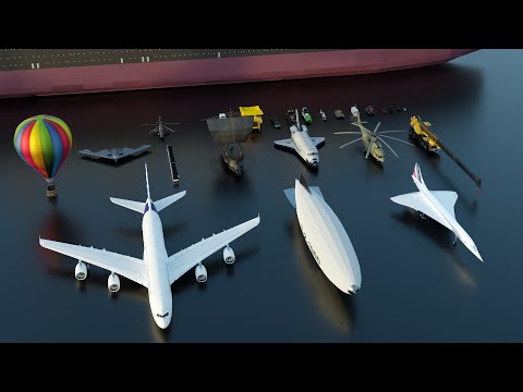 Vehicle Size Comparison | 3d Animation Comparison