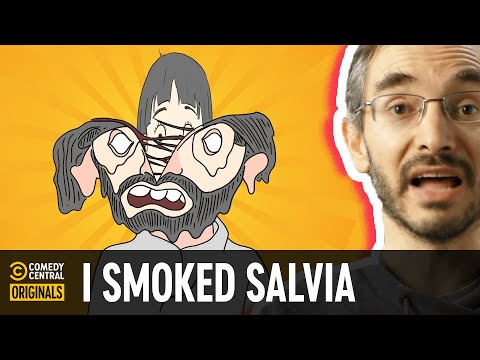 Salvia Turned Me Into A Lonely God – Tales from the Trip