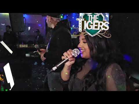 THE TIGERS X RJ X TISH - TERI BAATOON MEIN LIVE (2K24)
