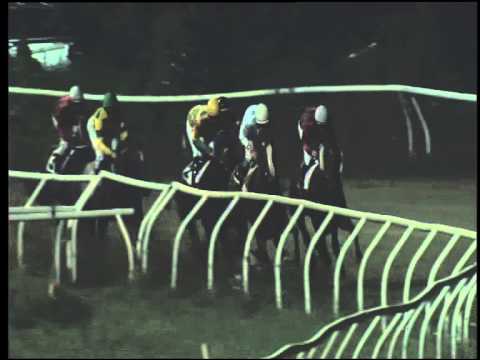 Galoppo 11/07/2015 - 3° corsa