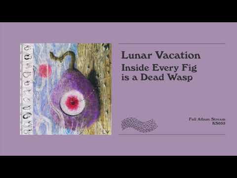 Lunar Vacation - Inside Every Fig is a Dead Wasp (Full Album Stream)