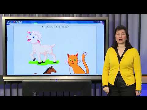 DITURI NATYRE  2 TE FLASESH E TE DEGJOSH JAVA II