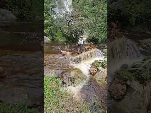 El paraíso en la tierra