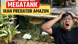 MEGATANK IKAN PREDATOR AMAZON !!! KOLEKSINYA BIKIN IRI - ADA BANYAK DUIT JUGA GAK KEBELI