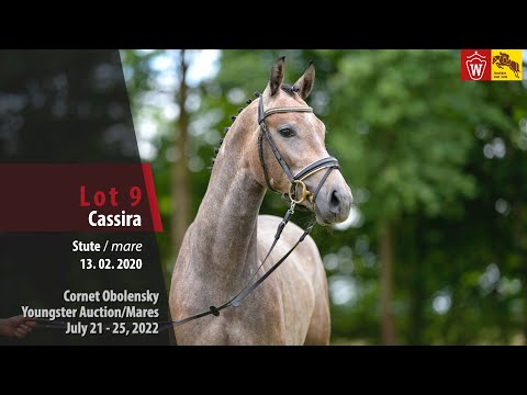 Cornet Obolensky Youngster Auction Lot 9 Cassira Stute v. Cornet Obolensky - World Way