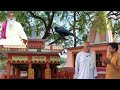 Jaane Kaha Gaye Wo Din Bachapan Ki Yaadein Gaon Ki Purani Yaadein Chhoti Chhoti Yaadein