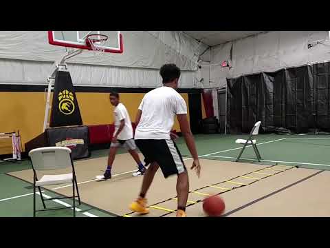 Back 2 Basics Training Video