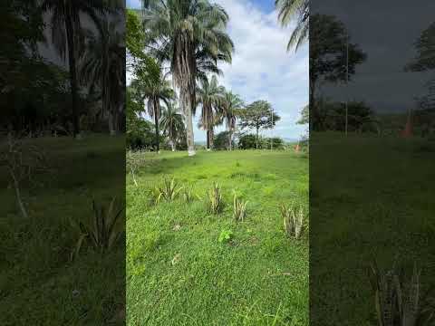 Se vende Lote en Melgar Tolima