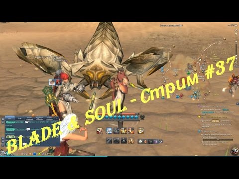 Blade & Soul - Cтрим #37