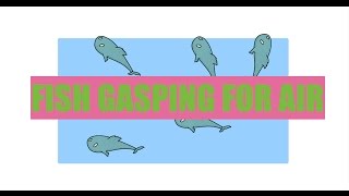 Fish Gasping For Air | Ask The Aquaponics God Ep9