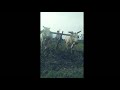 Padara Padara Song Whatsapp Status Lyrics Padara Padara Song Whatsapp Status Full Screen Maharshi