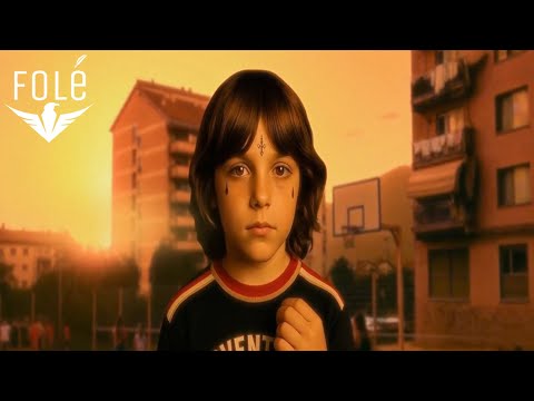 MAK ZØGAJ - ORTAKOLLI