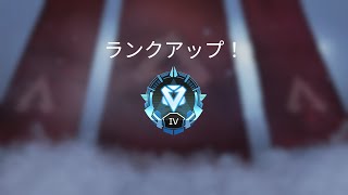 Apex