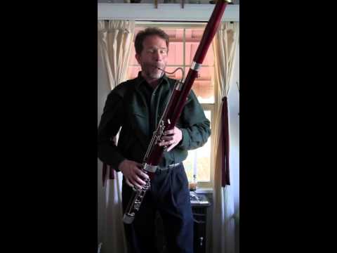 Bach Partita BWV 1013, Sarabande