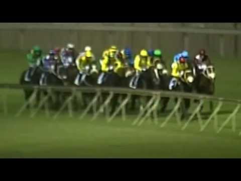 DAILY NEWS 2000 (Grade 1) 2013