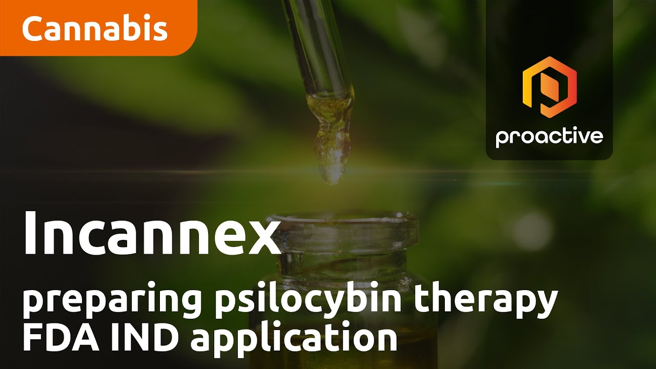 Incannex preparing psilocybin therapy FDA IND application