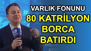 Ali Babacan Varlık Fonu oluşturulmasının içyüzünü anlattı