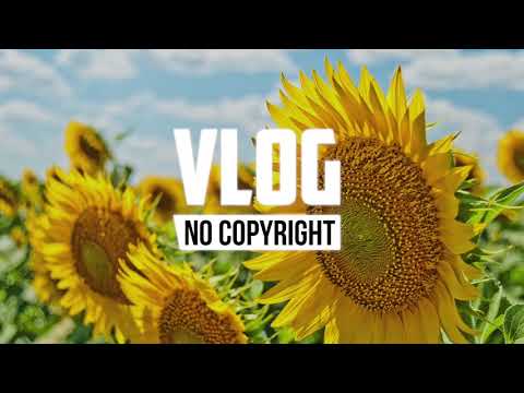 Nekzlo - Aloha Kakahiaka (Vlog No Copyright Music)