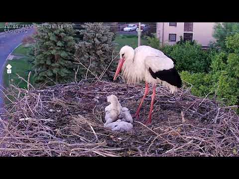 2022-05-30 Slavetin - Let me out, I need to go to the toilet