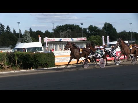 Der Tag 7 ### 123. Deutsches Traber-Derby ### Berlin-Mariendorf