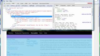 Using FireBug with FireFox