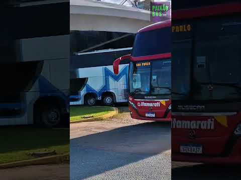 🚍 ITAMARATI 7317 - CRUZANDO O ESTADO - ILHA SOLTEIRA x SÃO PAULO #almirsater #sertanejo #sertão