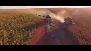 fazendas do médio-norte de Mato Grosso