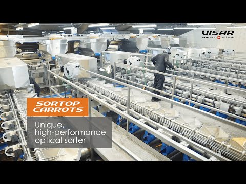 Visar Sorting Sàrl : Sortop Carrots - Carrots sorting line with 6 optical sorters 14 outputs