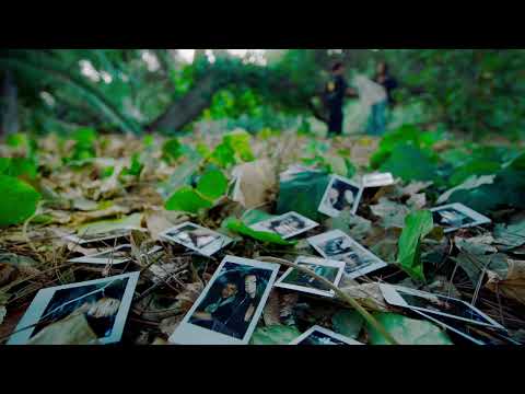 Culpa De Los Dos - (Visualizer) - T3R Elemento - DEL Records 2024