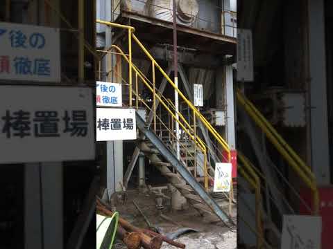 庭で段ボールをどうやって使う？過小評価されない 4 つの賢い使い方  庭園