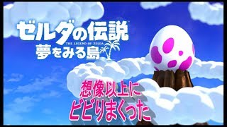 【ゼルダの伝説】ビビりが初めてゼルダをしたら【夢を見る島】