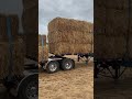 Who doesn’t like a nice Peterbilt hauling wheat straw #peterbilt #trucks #straw #summer #fyp #shorts