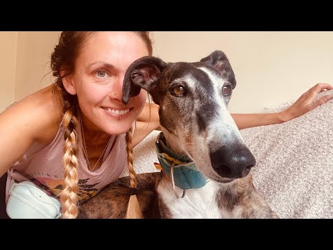 First three weeks with my nervous Galgo! 🐕 Rescue Dog Diaries 3