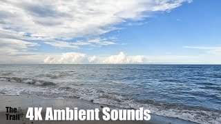 Ambient Sounds - Ocean Waves | Florida | Walk Hightower Beach Satellite Beach FL | 20230603